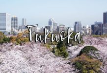 Trọn bộ kinh nghiệm du lịch thành phố Fukuoka nổi tiếng Nhật Bản Trọn bộ kinh nghiệm du lịch thành phố Fukuoka nổi tiếng Nhật Bản