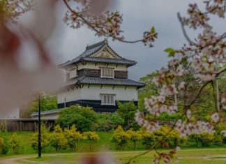 Vẻ đẹp của lâu đài Fukuoka - kiệt tác kiến trúc cổ tại Nhật Bản